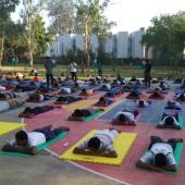 5th International Day of Yoga 2019