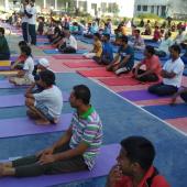 5th International Day of Yoga 2019