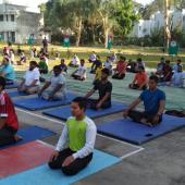 5th International Day of Yoga 2019