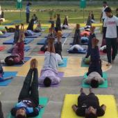 5th International Day of Yoga 2019