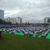 5th International Day of Yoga 2019