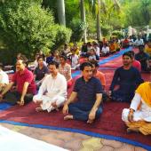 Yoga Day