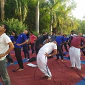 Yoga Day