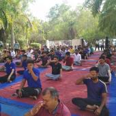 Yoga Day
