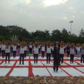 Yoga Day