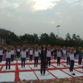 Yoga Day