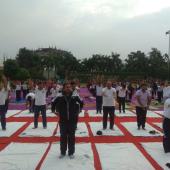Yoga Day