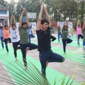 Yoga Day