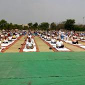 Yoga Day