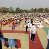 Yoga Day