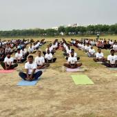 Yoga Day