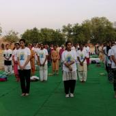 Yoga Day