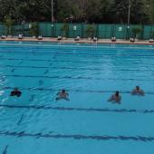 Yoga Day
