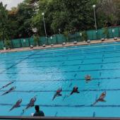 Yoga Day