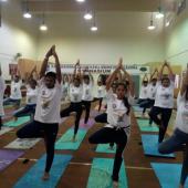 Yoga Day