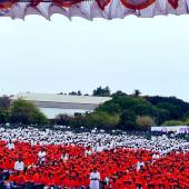 Tree Plantation" Guinness Record of largest distribution of Saplings