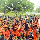 Tree Plantation" Guinness Record of largest distribution of Saplings
