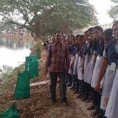 Tree Plantation