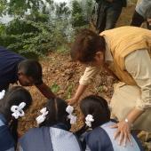 Tree Plantation
