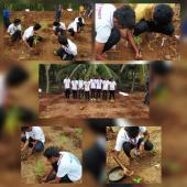 Swachh Bharat Summer Internship 2019