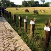 Swachh Bharat Summer Internship 2019