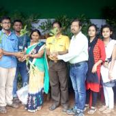 Tree Plantation