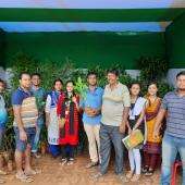 Tree Plantation