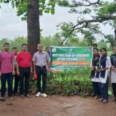 Tree Plantation