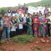 Tree Plantation