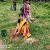 Tree Plantation