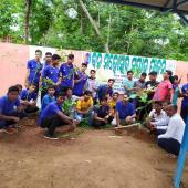 Tree Plantation
