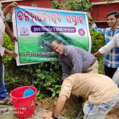 Tree Plantation