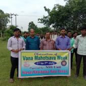 Tree Plantation