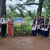 Tree Plantation