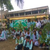 Tree Plantation