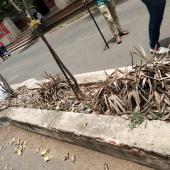 Swachh Bharat Summer Internship 2019