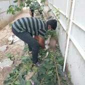 Swachh Bharat Summer Internship 2019