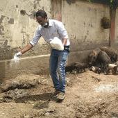 Swachh Bharat Summer Internship
