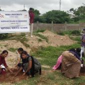 Rain water harvesting