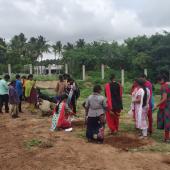Rain water harvesting