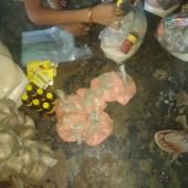 Flood relief