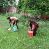 Swachta Pakhwada