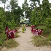 Swachta Pakhwada