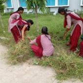 Swachta Pakhwada