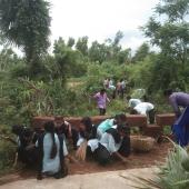 Swachta Pakhwada