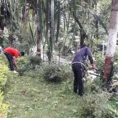 Swachta Pakhwada