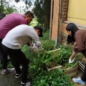 Swachta Pakhwada