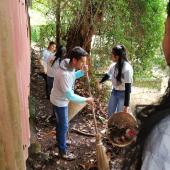 Swachta Pakhwada