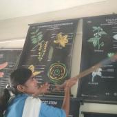Swachta Pakhwada