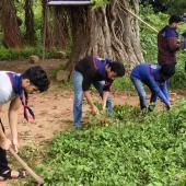 Swachta Pakhwada